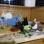IMG_20220208_184251