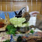 IMG_20220208_184426