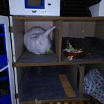 IMG_20220208_190447