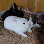 IMG_20220211_204237