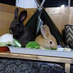 IMG_20220221_203109
