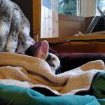 IMG_20220222_104607