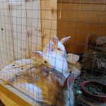 IMG_20220224_171246
