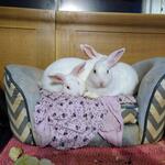 IMG_20220307_221354
