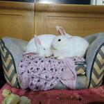 IMG_20220307_221708