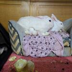 IMG_20220307_221940
