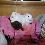 IMG_20220308_194402