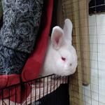 IMG_20220315_191645