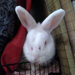 IMG_20220315_191742