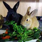 IMG_20220317_183244