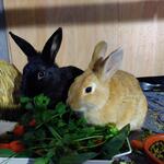 IMG_20220317_183250