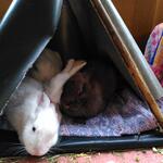 IMG_20220321_131632