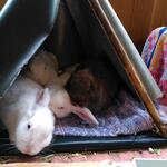 IMG_20220321_131739