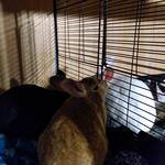 IMG_20220323_213917