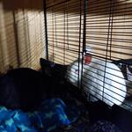 IMG_20220323_213921