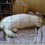 IMG_20220401_133818