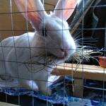 IMG_20220406_164734