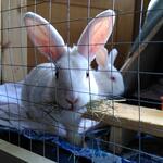 IMG_20220406_164736