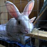 IMG_20220406_164739