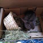 IMG_20220406_180605