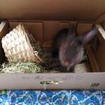 IMG_20220406_180905