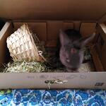 IMG_20220406_180907