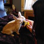 IMG_20220408_114148