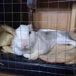 IMG_20220410_222709