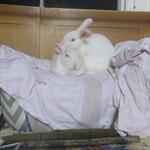 IMG_20220411_002039