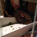 IMG_20220413_144819