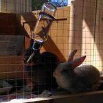 IMG_20220413_150509
