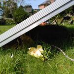 IMG_20220416_113634