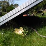 IMG_20220416_113648