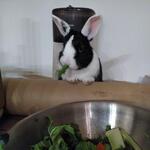IMG_20220420_233913