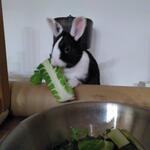 IMG_20220420_234001