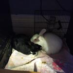 IMG_20221108_171717