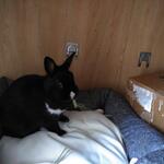 IMG_20221110_104750