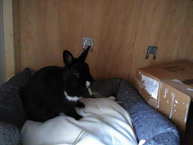 IMG_20221110_104750