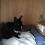 IMG_20221110_104756