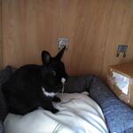 IMG_20221110_104800
