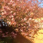 3b2518ad175c74a6ac6cad924506fc91